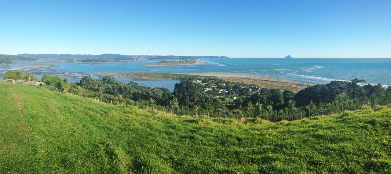 Ohiwa Seascape Studios Opotiki Buitenkant foto