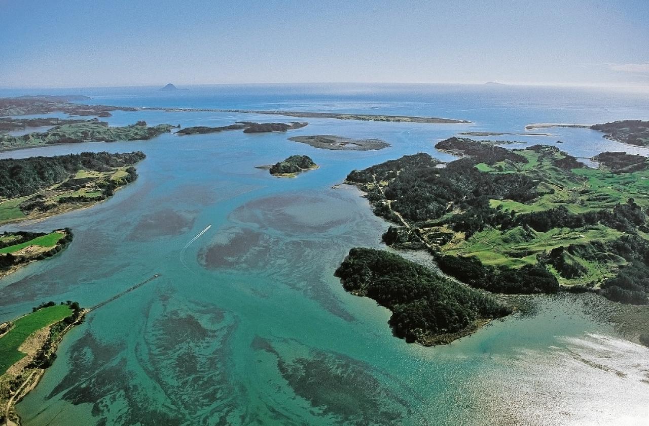 Ohiwa Seascape Studios Opotiki Buitenkant foto